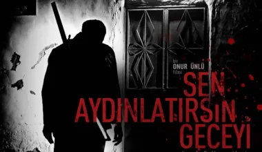 Sen Aydınlatırsın Geceyi